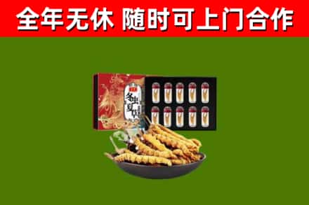 抚顺回收冬虫夏草价格
